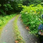 【動画・日本】バイクに乗っている時にヒグマに遭遇して、Uターンで逃げるまでの動画