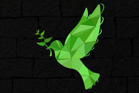 緑の鳥