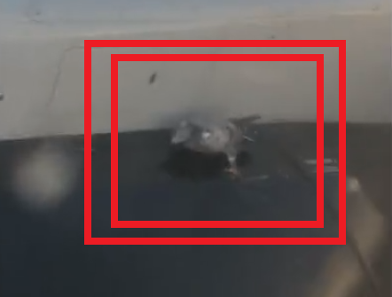 飛行機のエンジンにしがみつく鳩