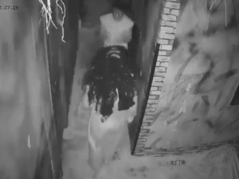 お化け屋敷で驚きすぎて失神しかける男性
