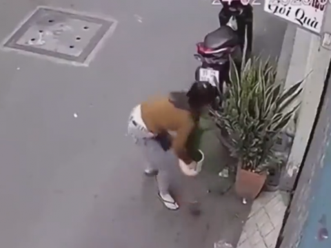 鉢植えを盗む女性