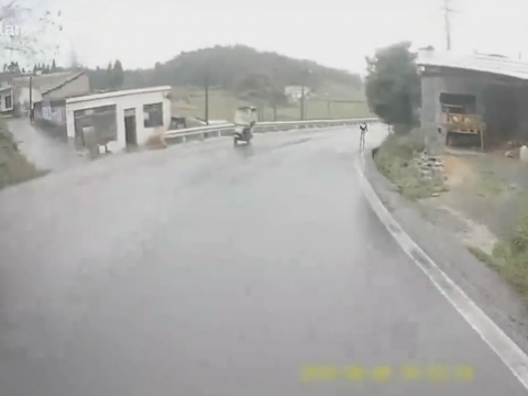 事故を起こしたトレーラーのドラレコ
