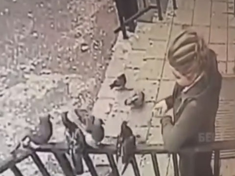 鳩に餌を与える女性