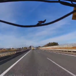 【国内ニュース・動画】東名高速道路でバードクラッシュ。鳥と衝突してしまう様子がツイートされる。