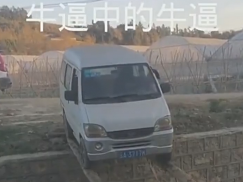 無理な橋を渡る車