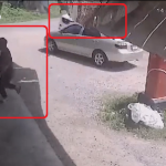 【海外ニュース】ホントにギリギリ！突っ込んできた車をギリギリで回避する男性が撮影される。